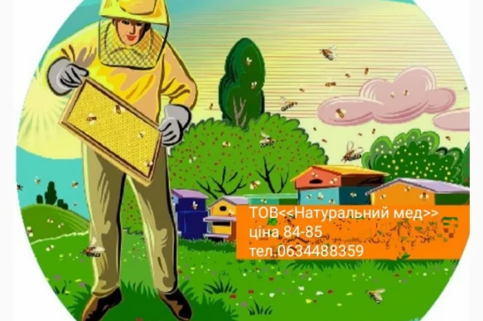 Закупка натурального меда- фото № 1