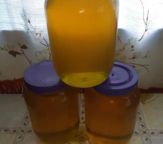 Мед різнотрав'я з власної пасіки- фото № 1