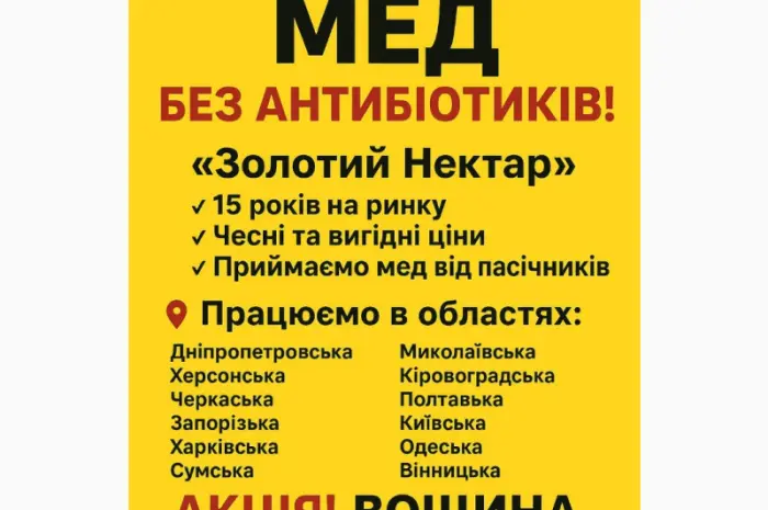 Покупаем МЕД-оптом"Золотой Нектар"- фото № 1