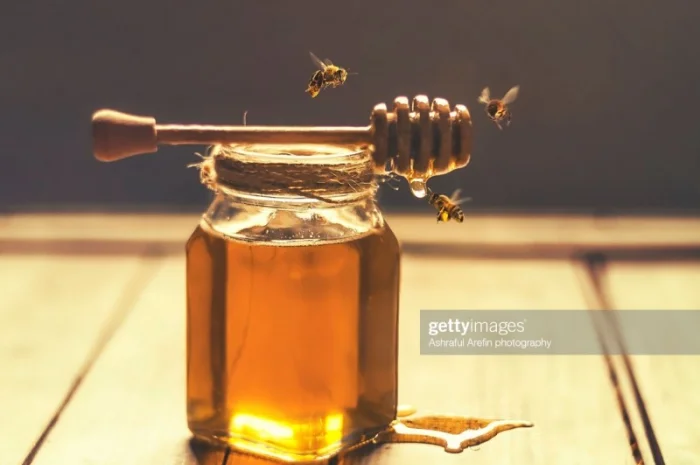 Куплю мед без антибіотиків оптом в Черкассах- фото № 1