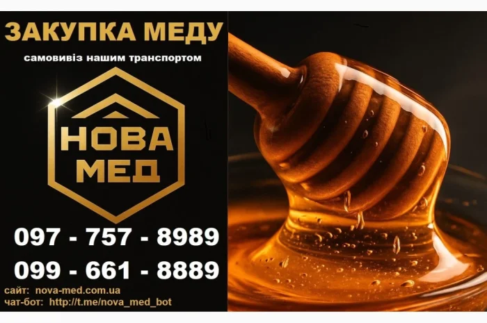 Купуємо мед круглий рік, мінімальна партія 500 кг- фото № 1