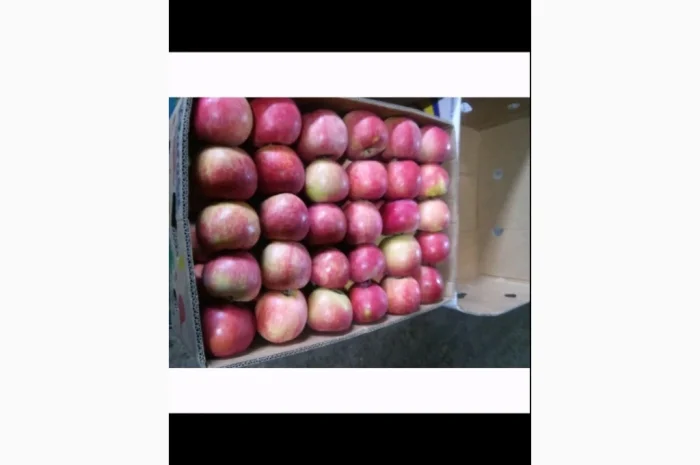 Пропоную яблука Айдарет Голден- фото № 2