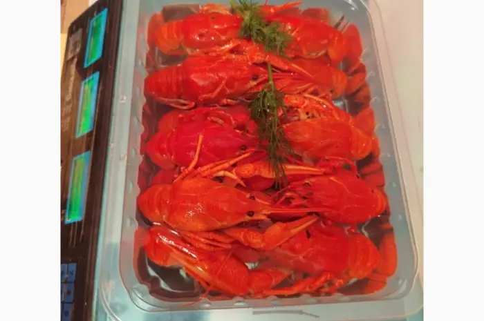 Продам Рак!оптом- фото № 2