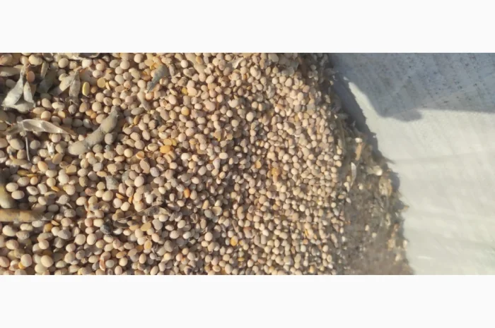 Продается соя высокого качества- фото № 1