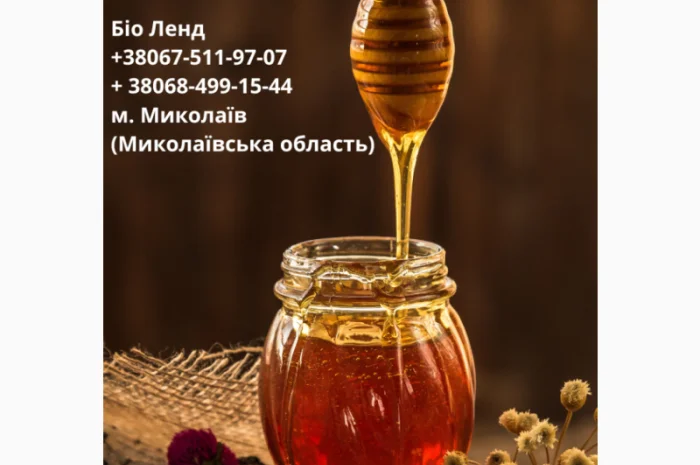 Закупаем мед оптом- фото № 1