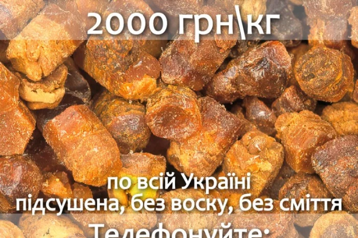 Куплю пергу оптом по всей Украине- фото № 1