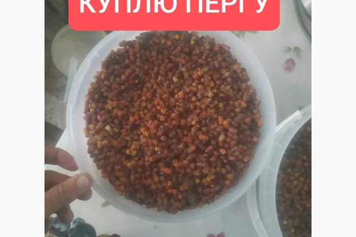 Закупка перги оптом- фото № 1