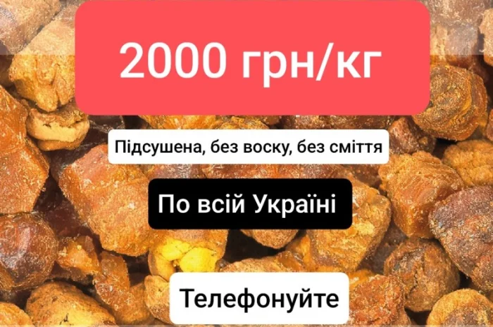 Купую пергу 2000 грн/кг- фото № 1