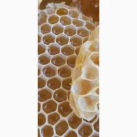 Мед 2025 года, разнотравье с подсолнечником- фото № 3