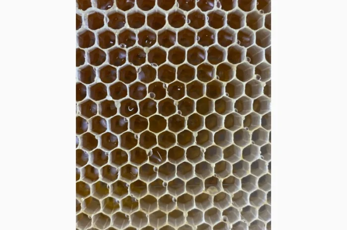 Продается рамка с медом- фото № 1