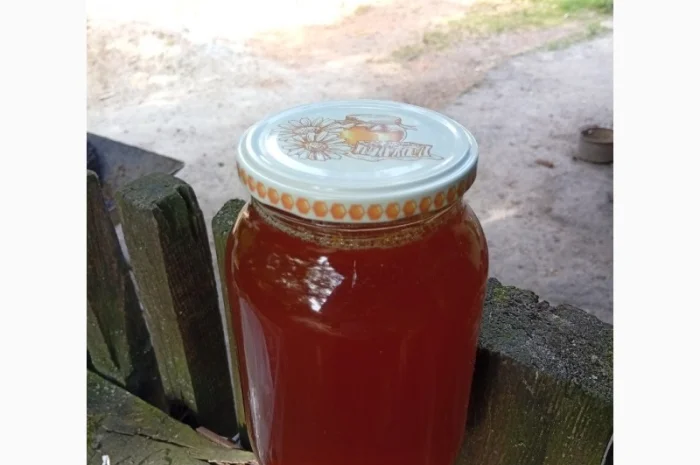 Пропонується липовий мед урожаю 2025 року- фото № 1