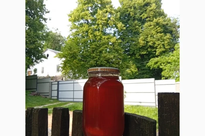 Пропонується липовий мед урожаю 2025 року- фото № 2