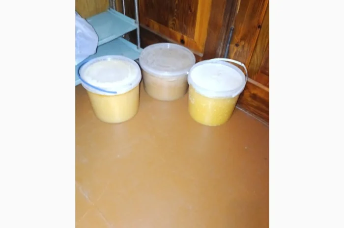 Пропонується мед 2024 року- фото № 1