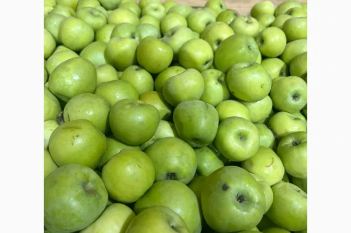 Продаются яблоки различных сортов из холодильника- фото № 2