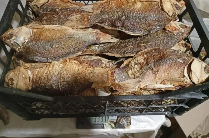 Карась сушеный печеный в печи на соломе- фото № 1