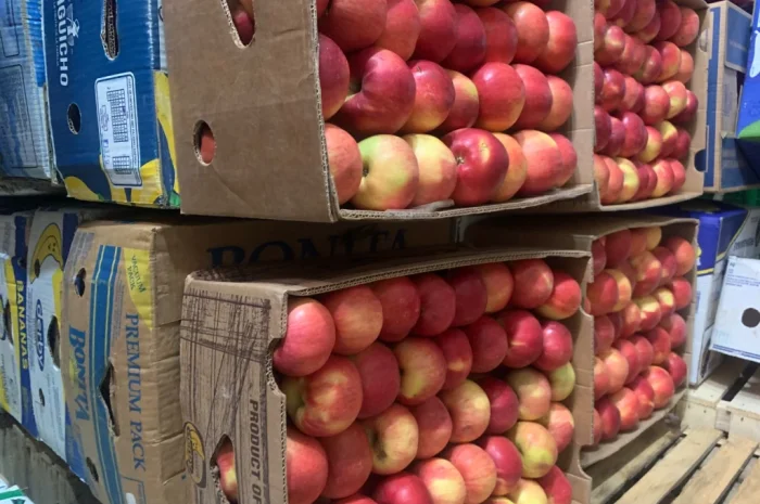 Продаю яблука сорту Айдаред- фото № 1