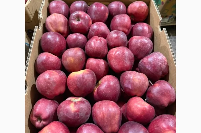 Продаю яблоки различных сортов- фото № 5