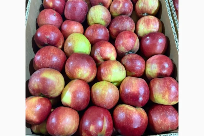 Продаю яблоки различных сортов- фото № 8