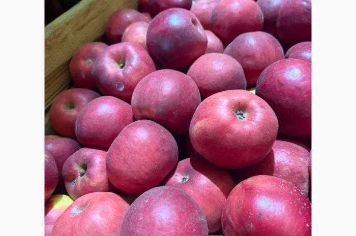 Продаю яблоки различных сортов- фото № 9