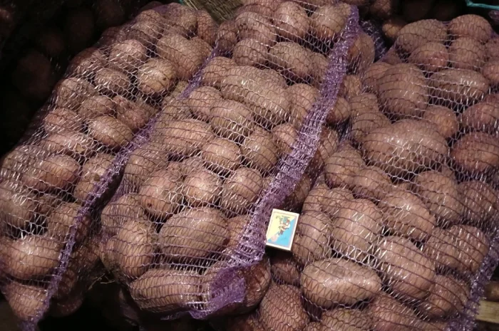 Продам товарну картоплю- фото № 1