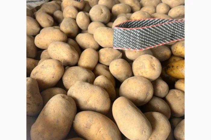 Продам картоплю товарну з Польщі- фото № 1