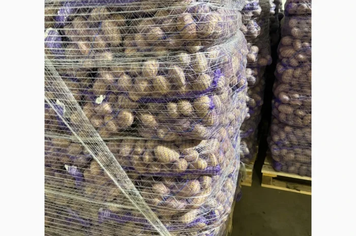 Продам картоплю товарну з Польщі- фото № 2