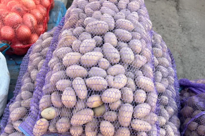 Продам картошку- фото № 1