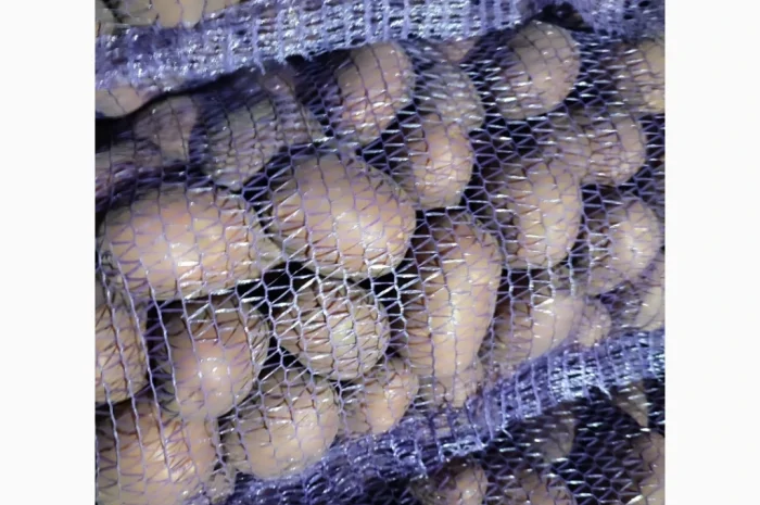 Продам товарну картоплю сорт білароса- фото № 2