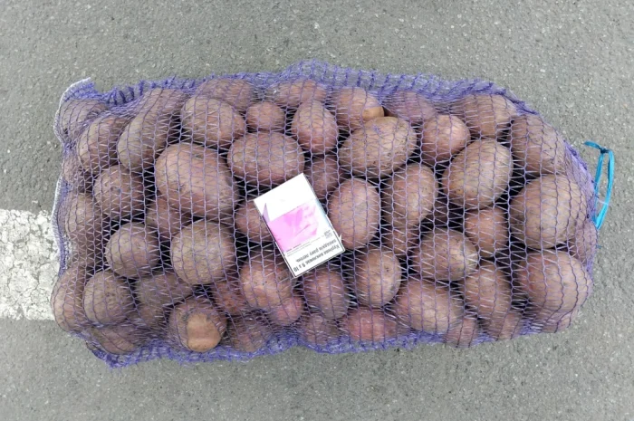 Куплю картошку разных сортов- фото № 1