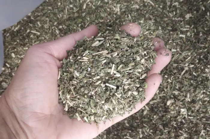 Продам гарний тютюн- фото № 6