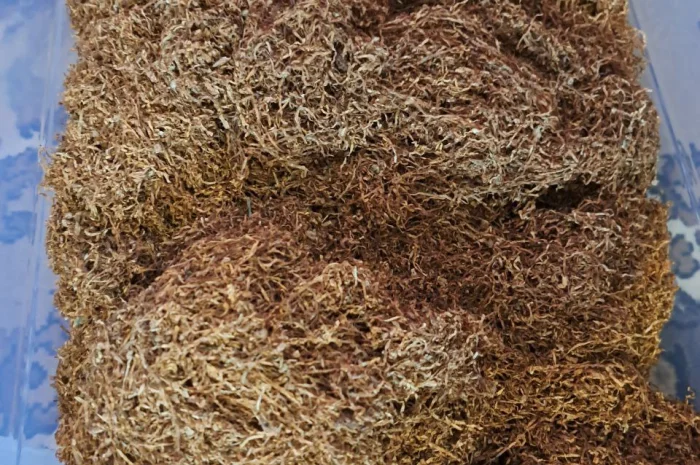 Продам гарний тютюн- фото № 3