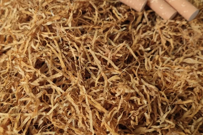 Продам гарний тютюн- фото № 2