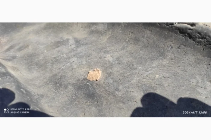 Продам шины размера 500/80 R 28- фото № 5