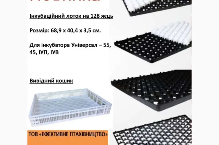 Инкубационный лоток (ячейка) для инкубатора УНИВЕРСАЛ (ИУП- фото № 5