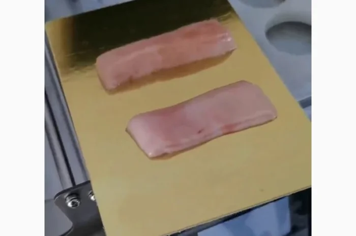 Зварювач лотків (вакуумний трейсилер) STvega Tray Sealer L331- фото № 8