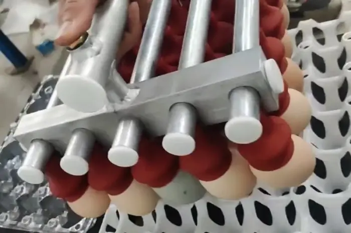 Вакуумний укладач яєць (на 30 шт) STvega Vacuum Egg Lifter H30- фото № 3