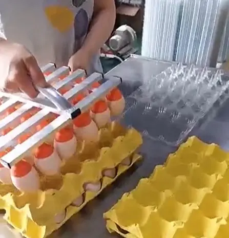 Вакуумний укладач яєць (на 30 шт) STvega Vacuum Egg Lifter H30- фото № 5