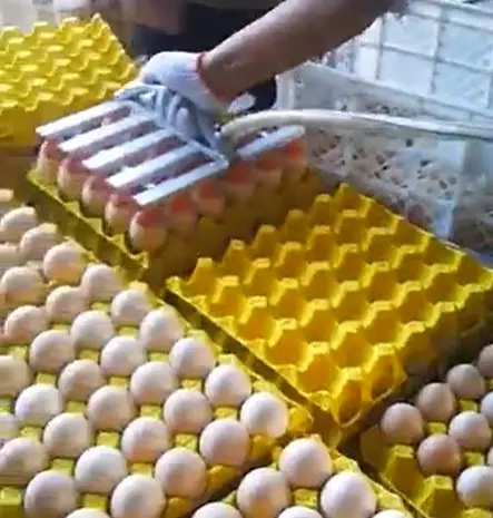 Вакуумний укладач яєць (на 30 шт) STvega Vacuum Egg Lifter H30- фото № 6
