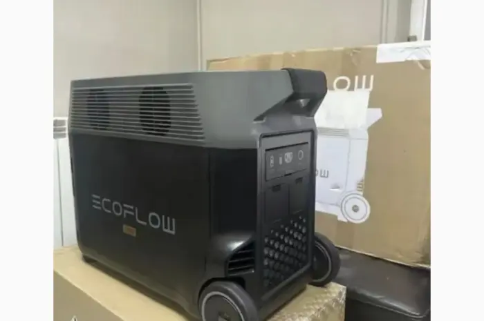 EcoFlow Delta Pro 3.6- фото № 1