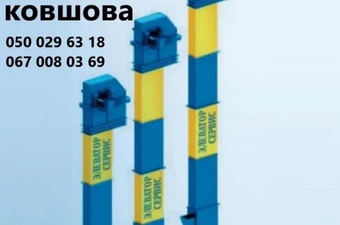 Норія ковшова стрічкова- фото № 1