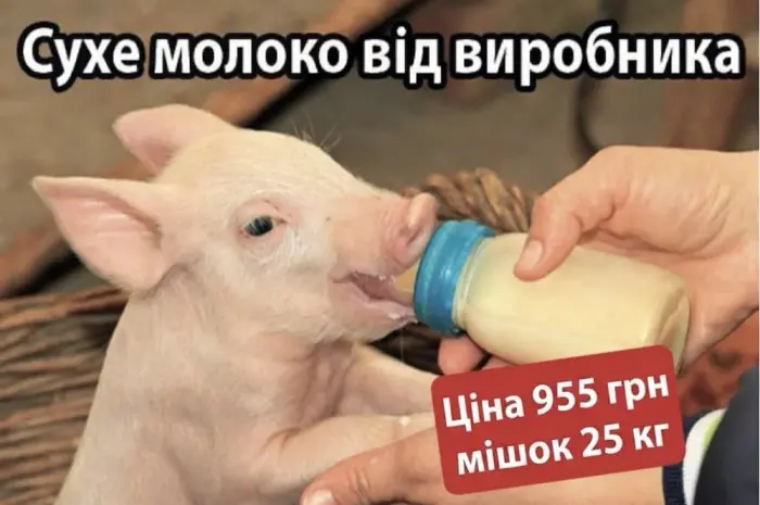 Корм сухе молоко для поросят телят БМВД- фото № 1