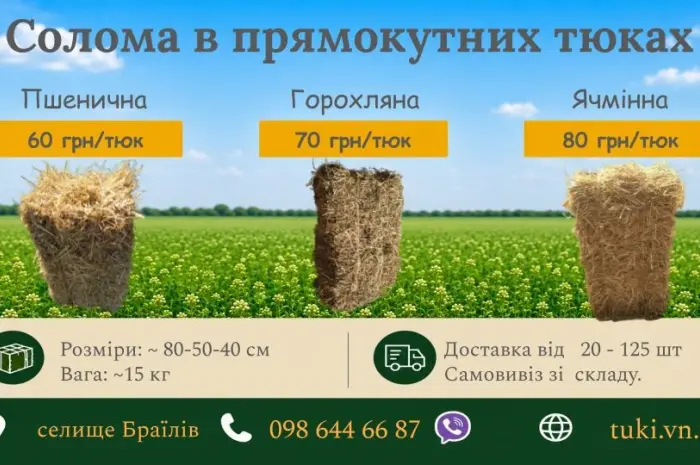 Солома пшенична, ячмінна, горохляна в тюках 2026- фото № 1