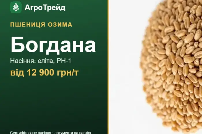 Пшениця Богдана — насіння, від 12 900 грн/т- фото № 1