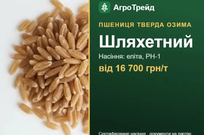Посівна пшениця Шляхетний, від 16 700 грн/т- фото № 1
