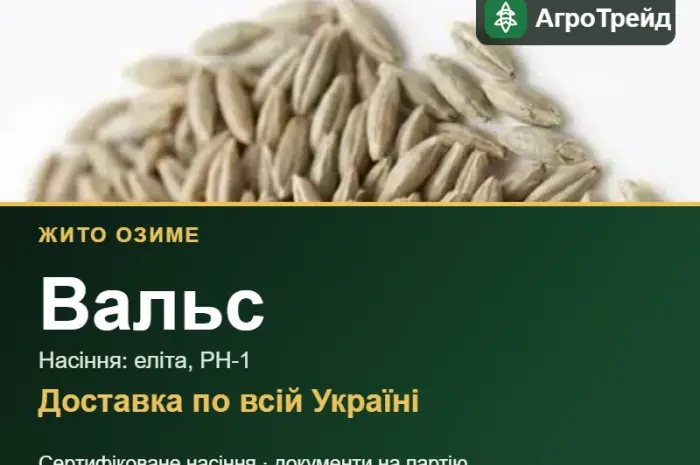 Насіння жита Вальс- фото № 1