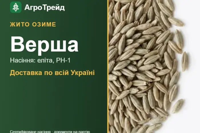 Насіння: жито озиме Верша- фото № 1