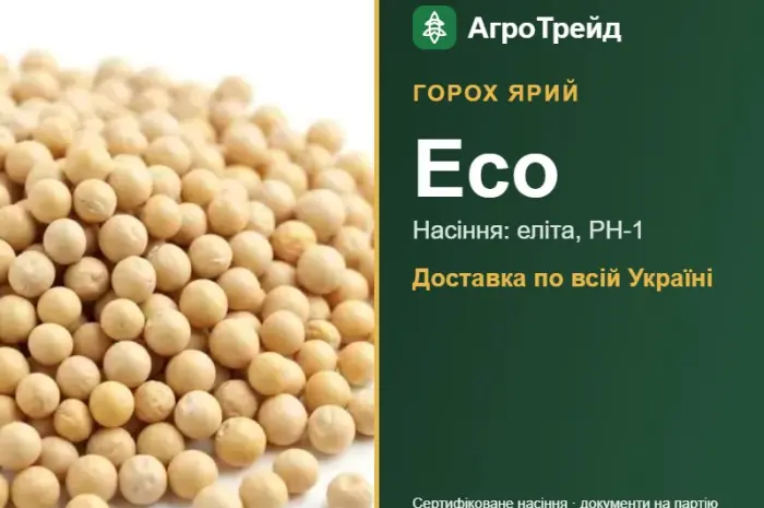 Насіння ярого гороху Есо- фото № 1