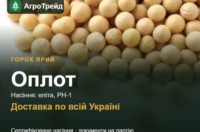 Оплот — ярий горох, насіння- фото № 1