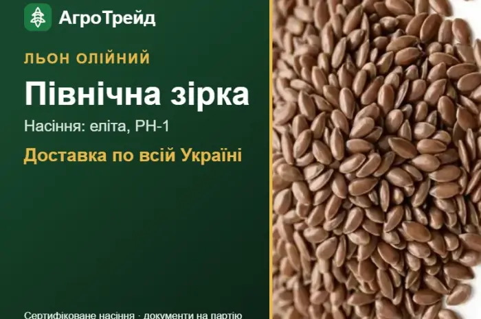 Олійний льон Північна зірка — насіння- фото № 1