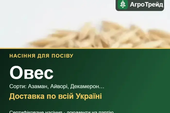Продам насіння вівса- фото № 1